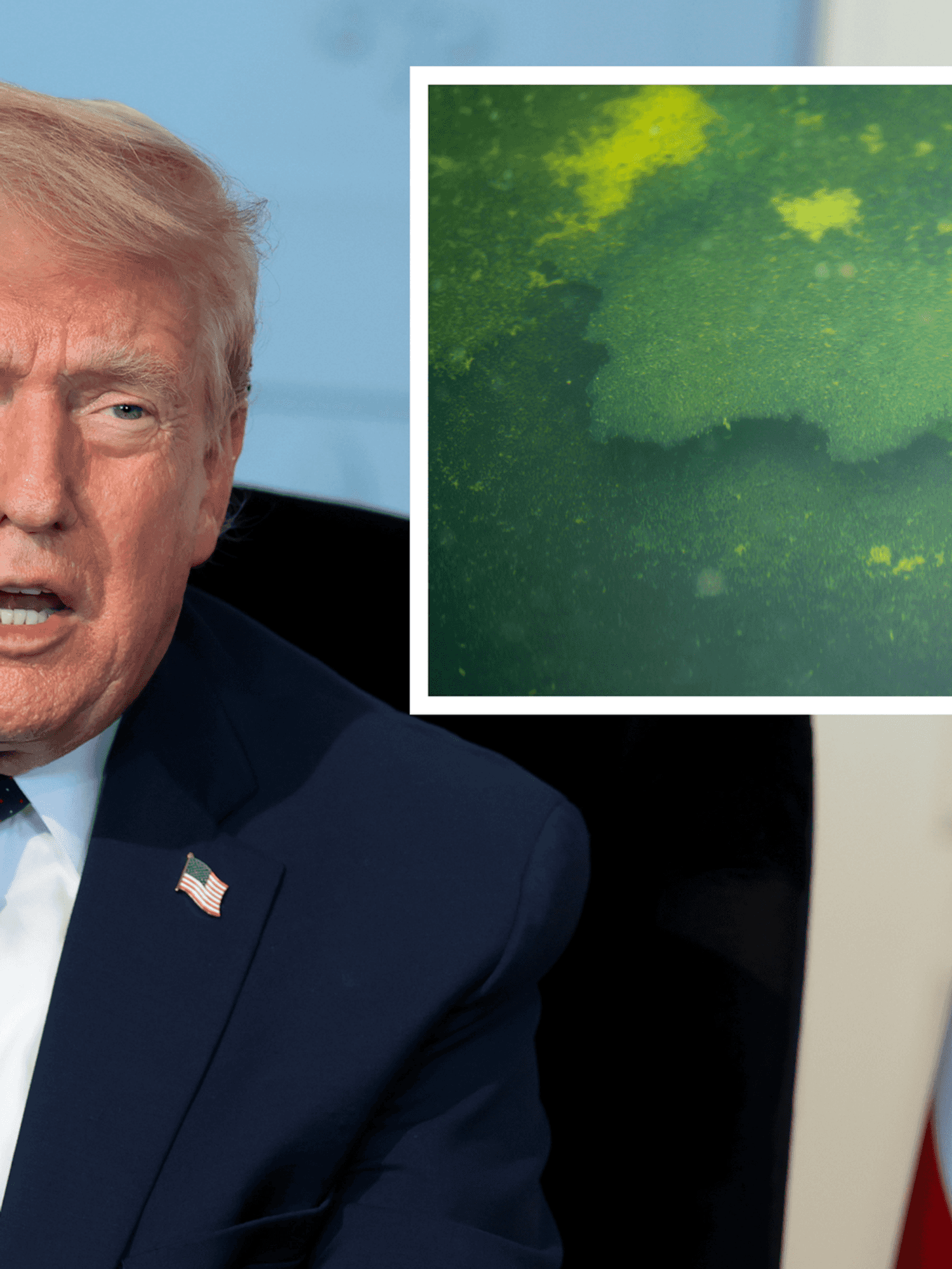 Main image is of Donald Trump sitting in a chair and talking. Inset right is a piece of flooring in the Reflecting Pool peeling off. The water is green.