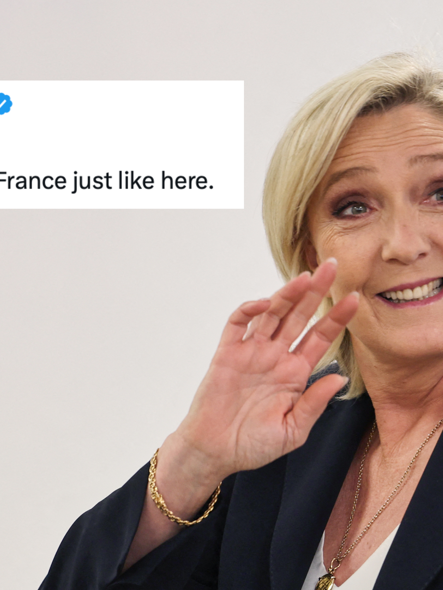 Main image is of Marine Le Pen smiling and waving. Inset left is a tweet from Catturd which reads: 'They cheated in France just like here.'