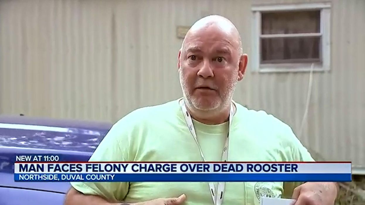 Man arrested for killing neighbour's rooster blames KFC