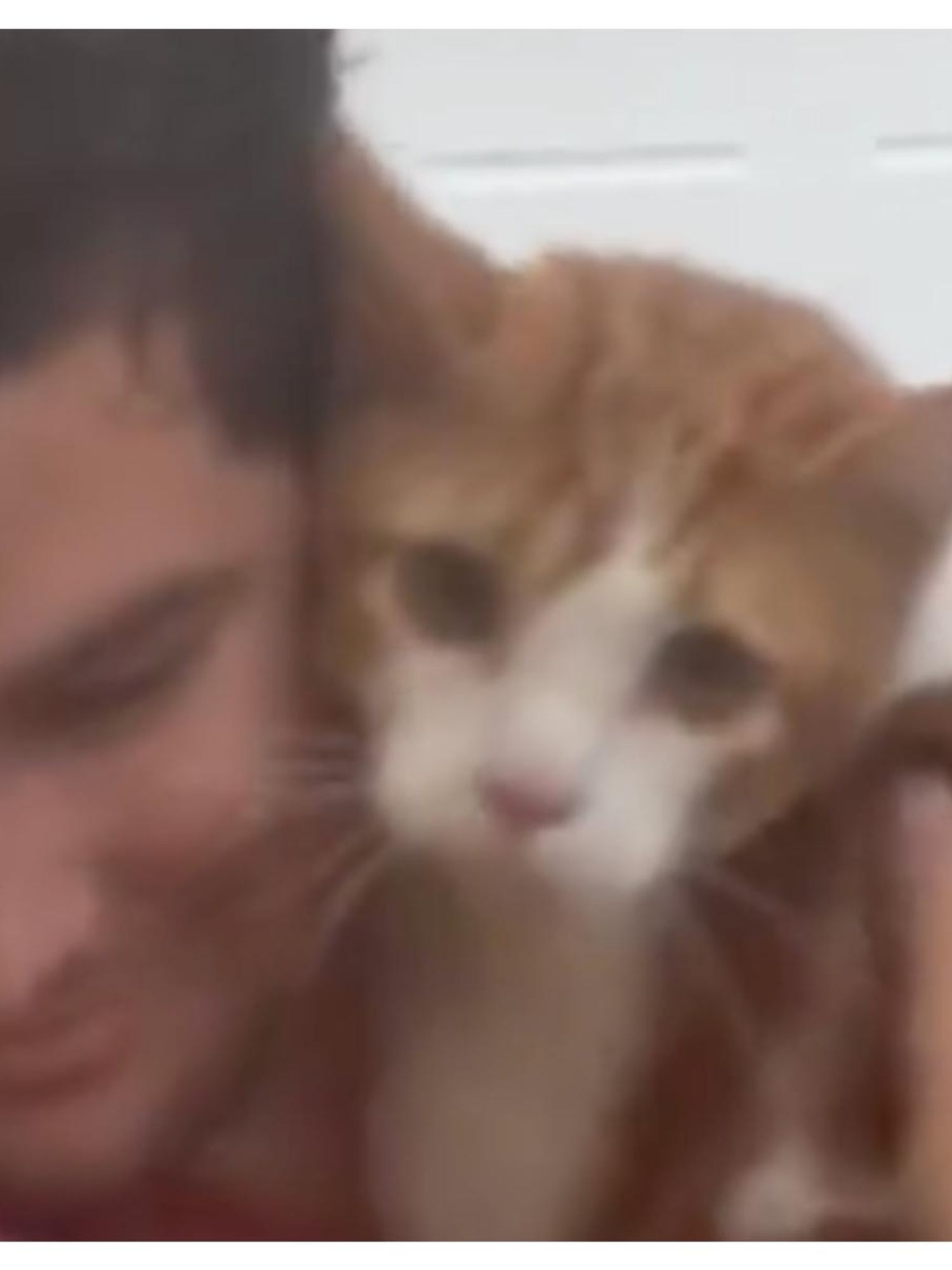 Man bravely weathers Hurricane Ian floodwaters to save cat