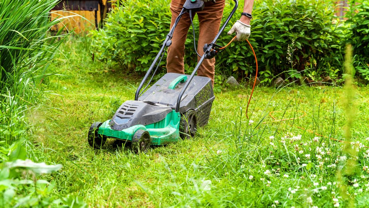Man cutting grass with lawn mower