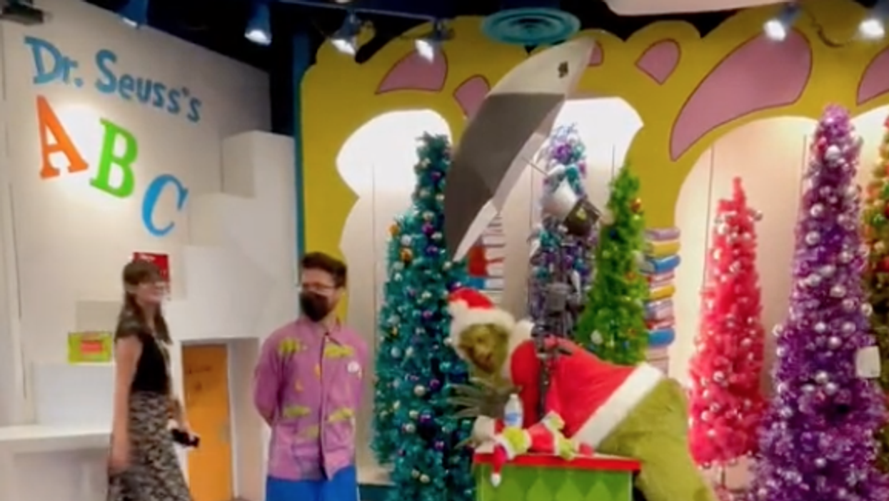 <p>Man in Grinch costume sparks debate after he threatens to send family to back of line in viral TikTok</p>
