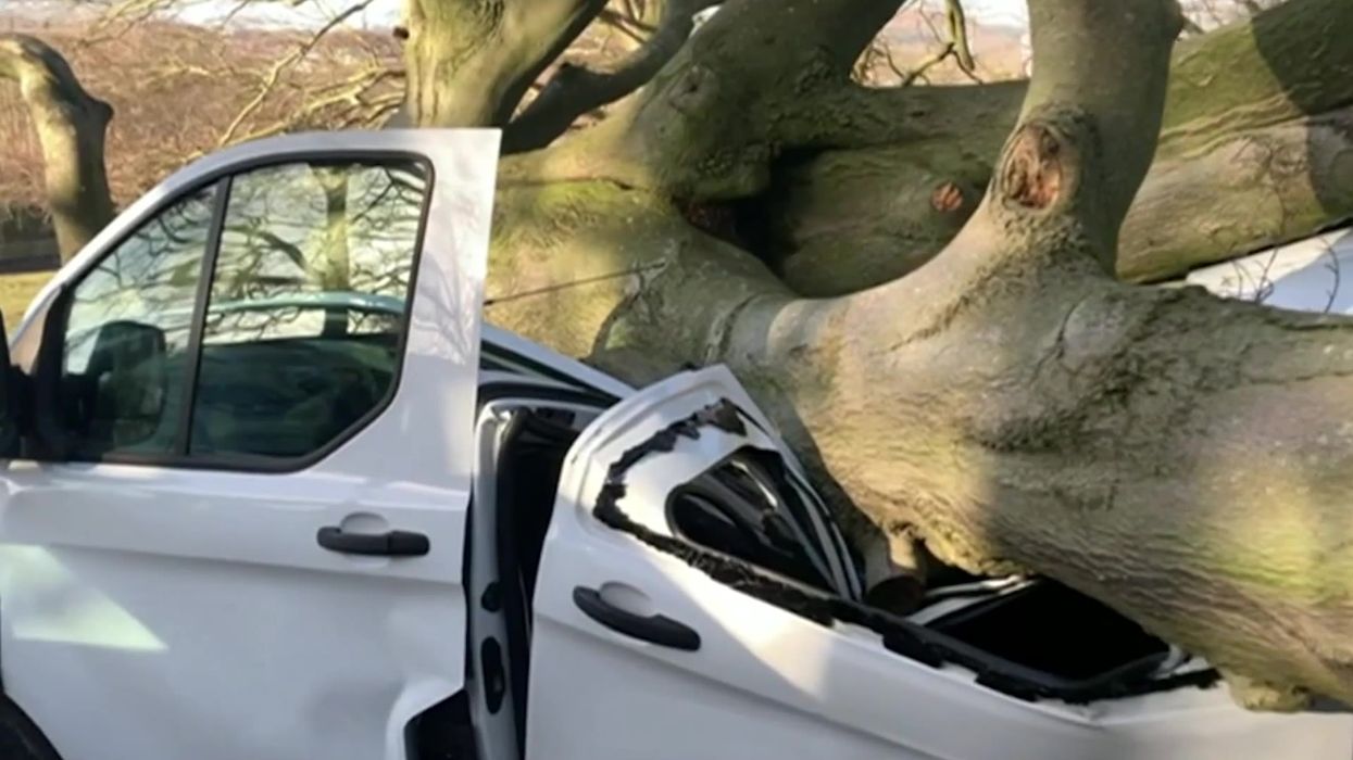 Man pulled from van crushed by fallen tree as Storm Malik batters UK