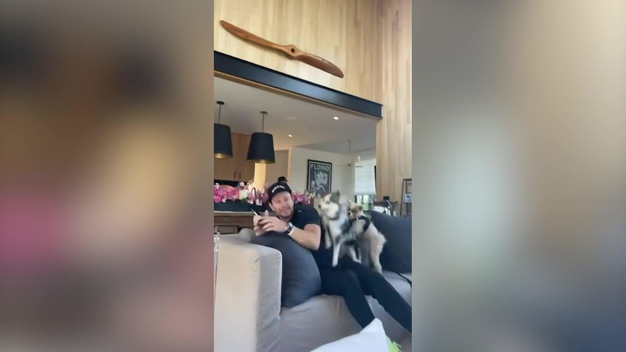 Mark Wahlberg just posted a video of him getting humped by a dog on Instagram