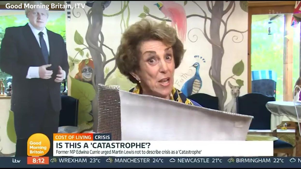 Edwina Currie thinks she just ended the energy crisis with a piece of foil