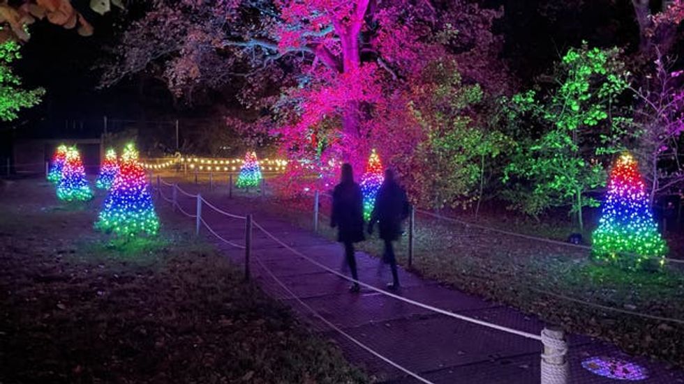 Marwell Zoo\u2019s Glow lights installation