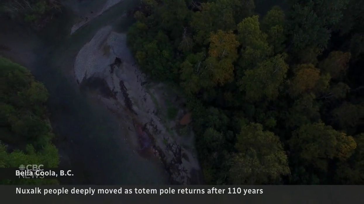 Mysterious totem pole appears in middle of British countryside with no explanation