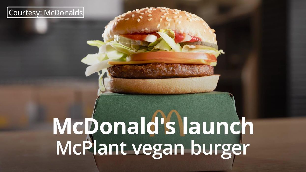 Man starts experiment to see how long he can survive only eating raw meat