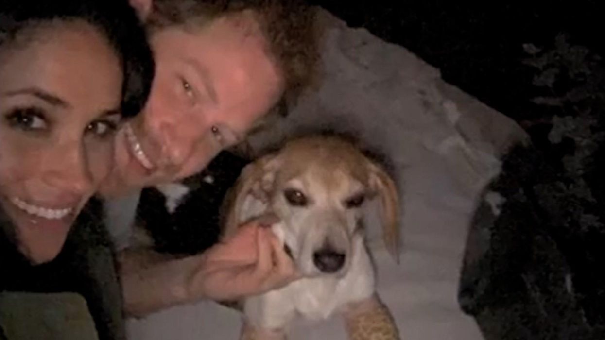 Meghan Markle records moment Prince Harry proposed to her in new Netflix documentary