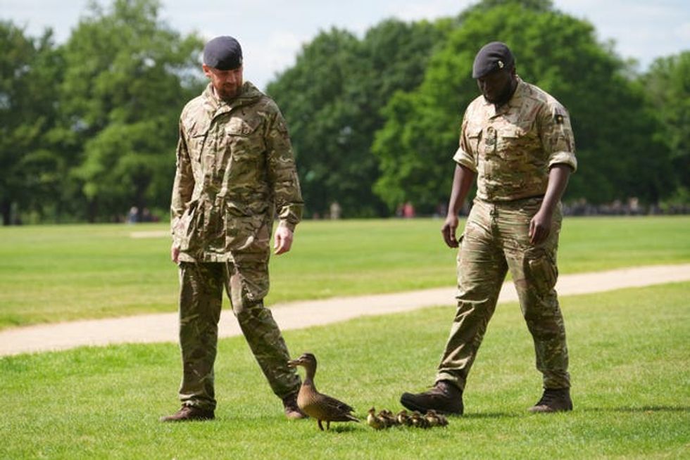 Members of the King\u2019s Troop Royal Horse Artillery guiding a duck and ducklings away from the area ahead of the gun salute