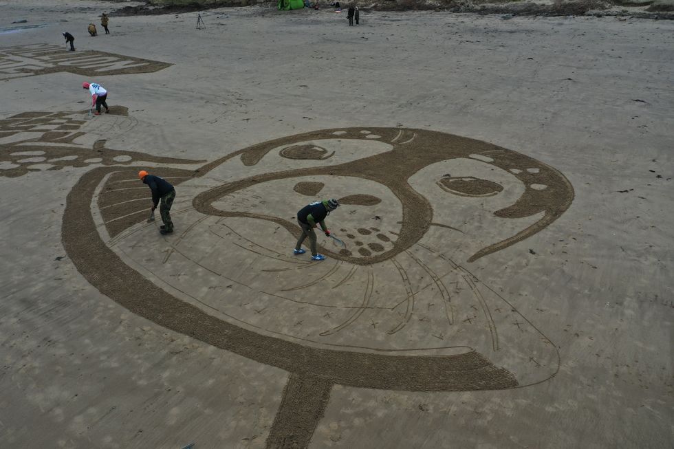 Members of the team creating the sand drawing work on the seal's face