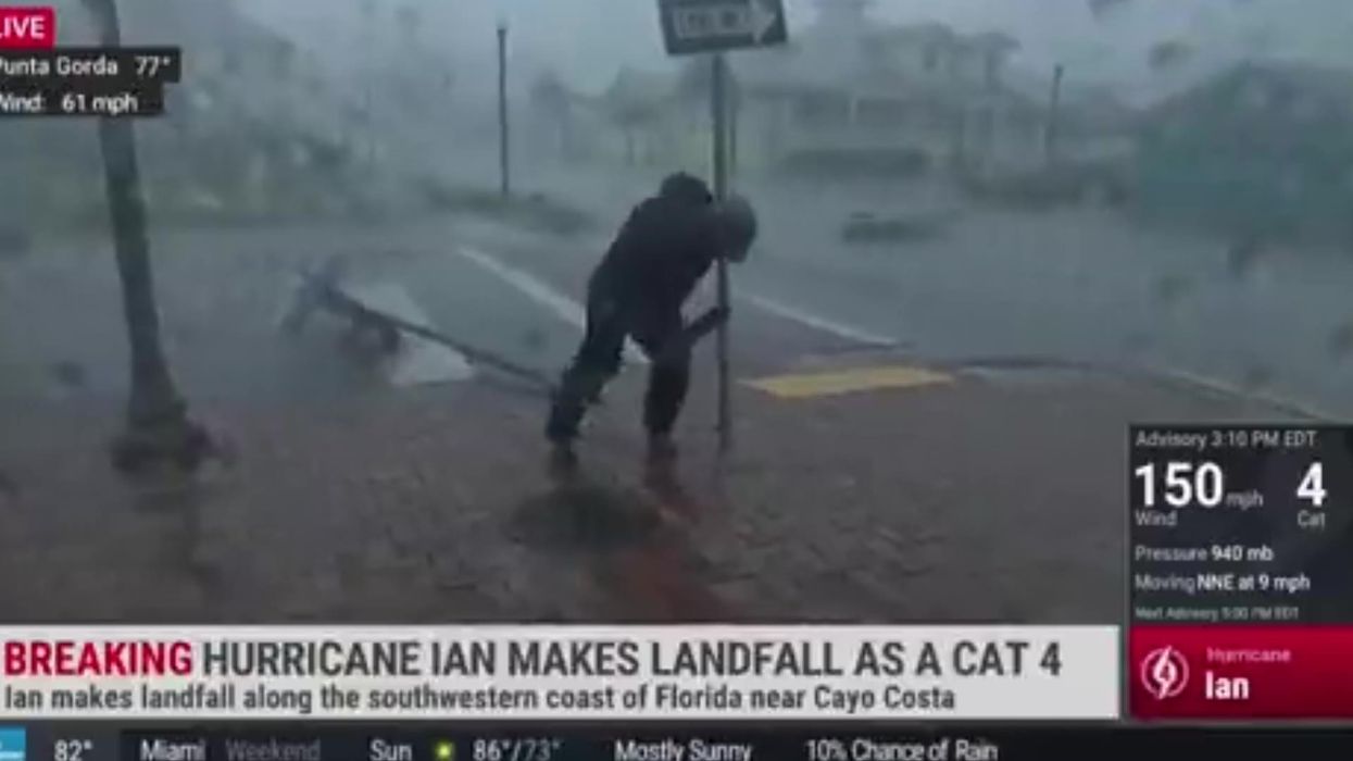 Meteorologist hit by flying tree branch while covering Hurricane Ian