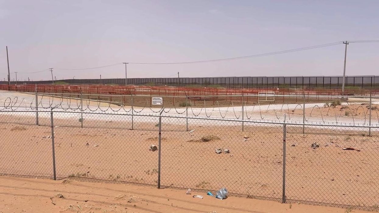 New world screwworm flies to be bred in millions and dropped from planes across US for this key reason