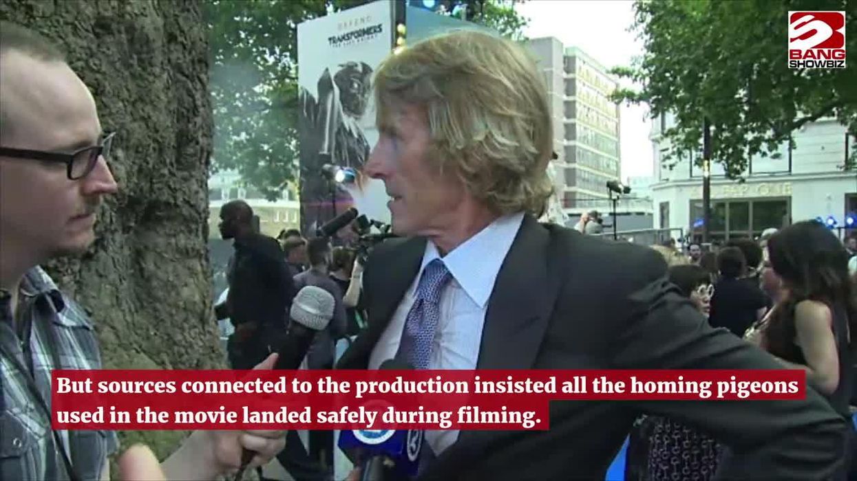 Michael Bay denies Italian pigeon killing accusations