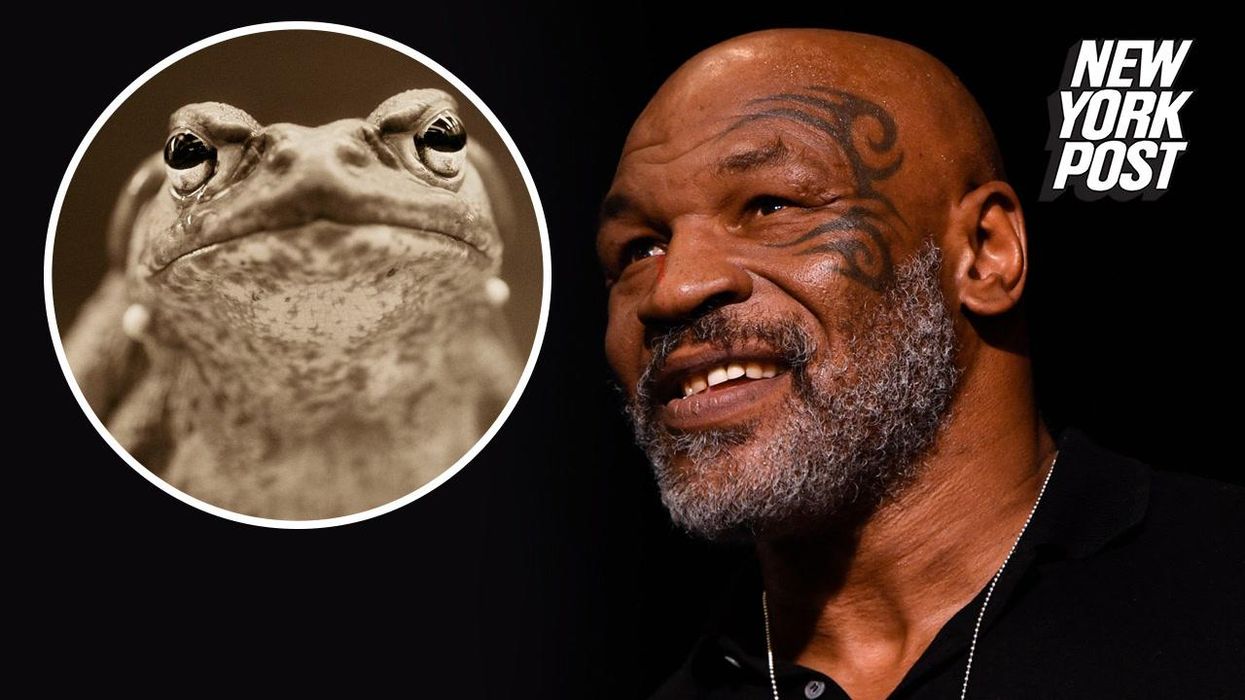 Mike Tyson thinks the homeless are being hunted by wealthy people