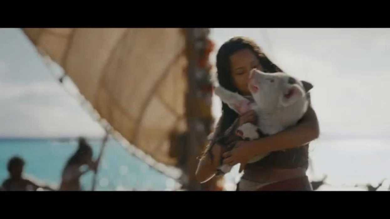 What are critics saying about the Moana live action?