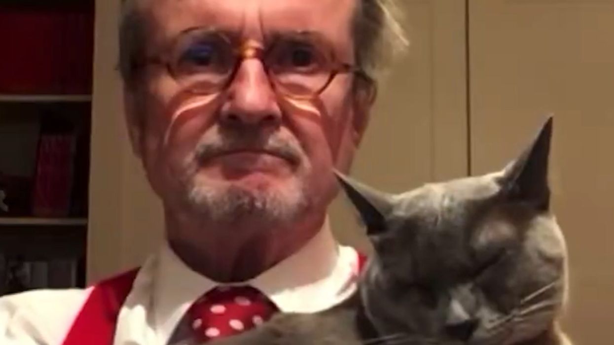 Sweet moment guest's cat gets own introduction during live news interview