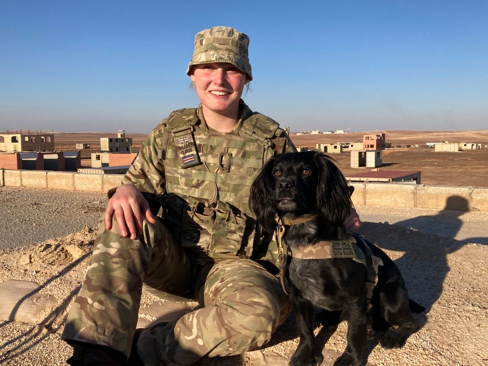 Military working dogs Lucy and Ace hone their skills in Jordan