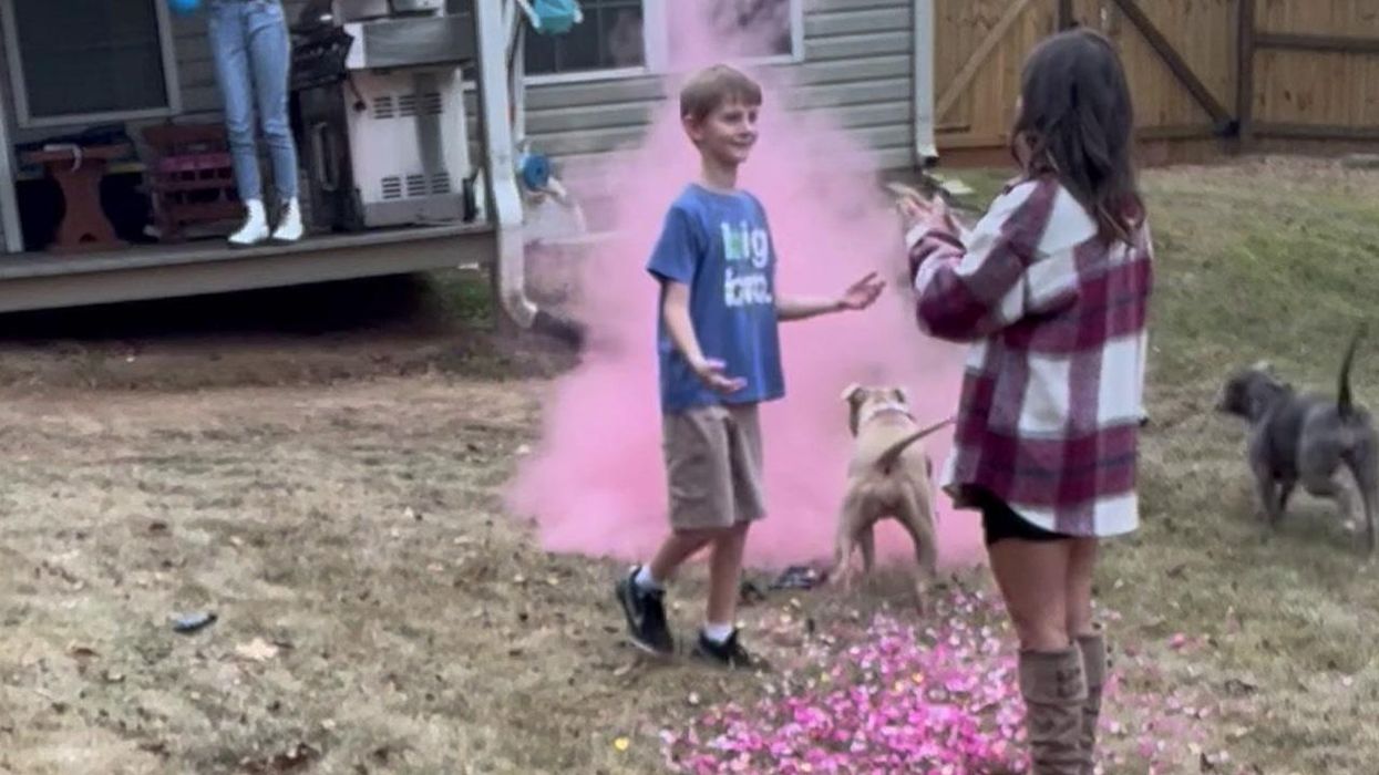 Pink-dyed pigeon 'used in a gender reveal' rescued by non-profit organisation