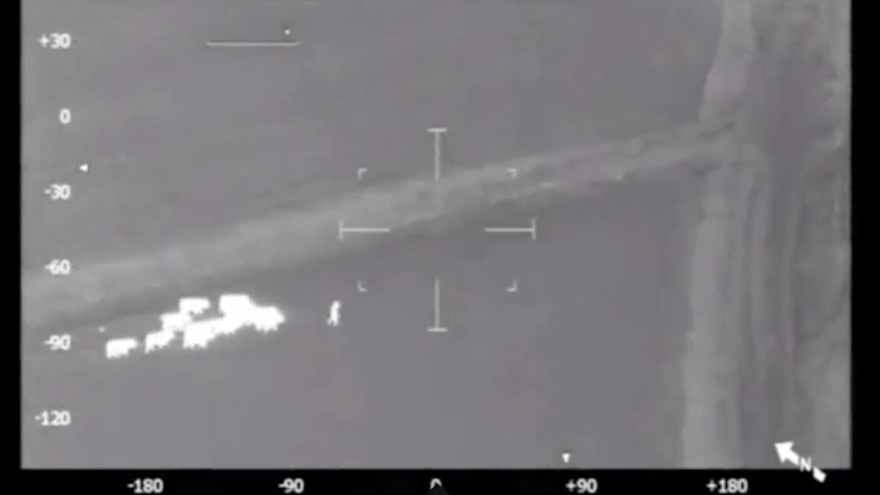 Moment man on the run gets herded by group of cows before being arrested