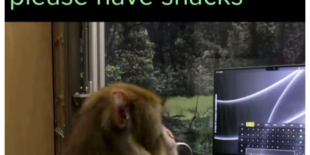 Monkey Plays Video Games With His Mind