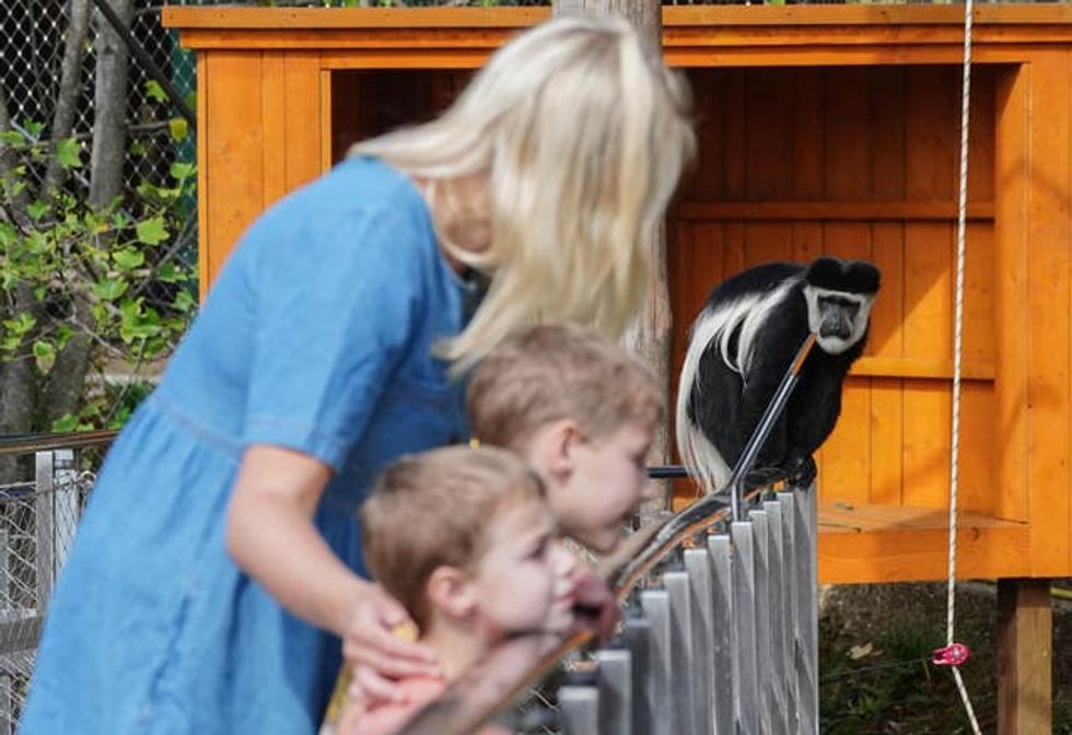 Monkey Valley \u2013 ZSL London Zoo