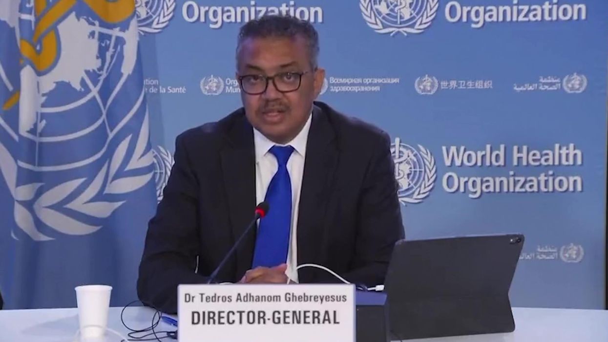 People are trying to kill monkeys in revenge for monkeypox epidemic