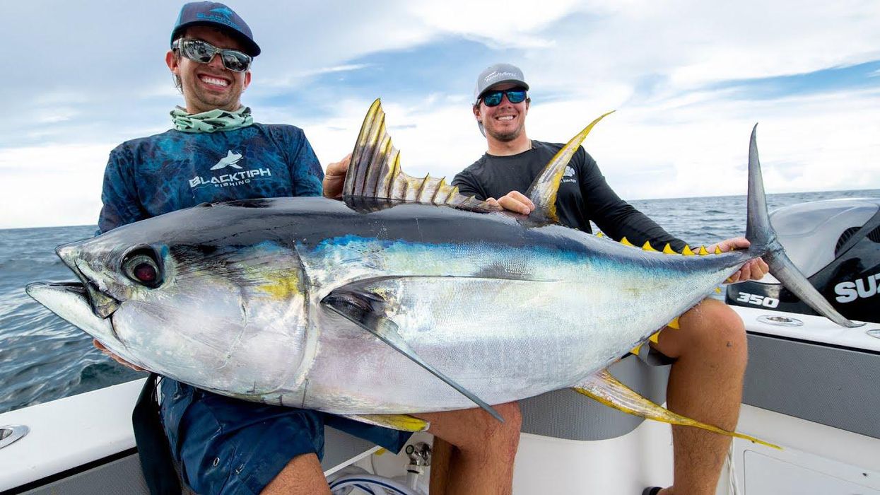 Giant bluefin tuna worth thousands dwarfs Edinburgh fishmonger