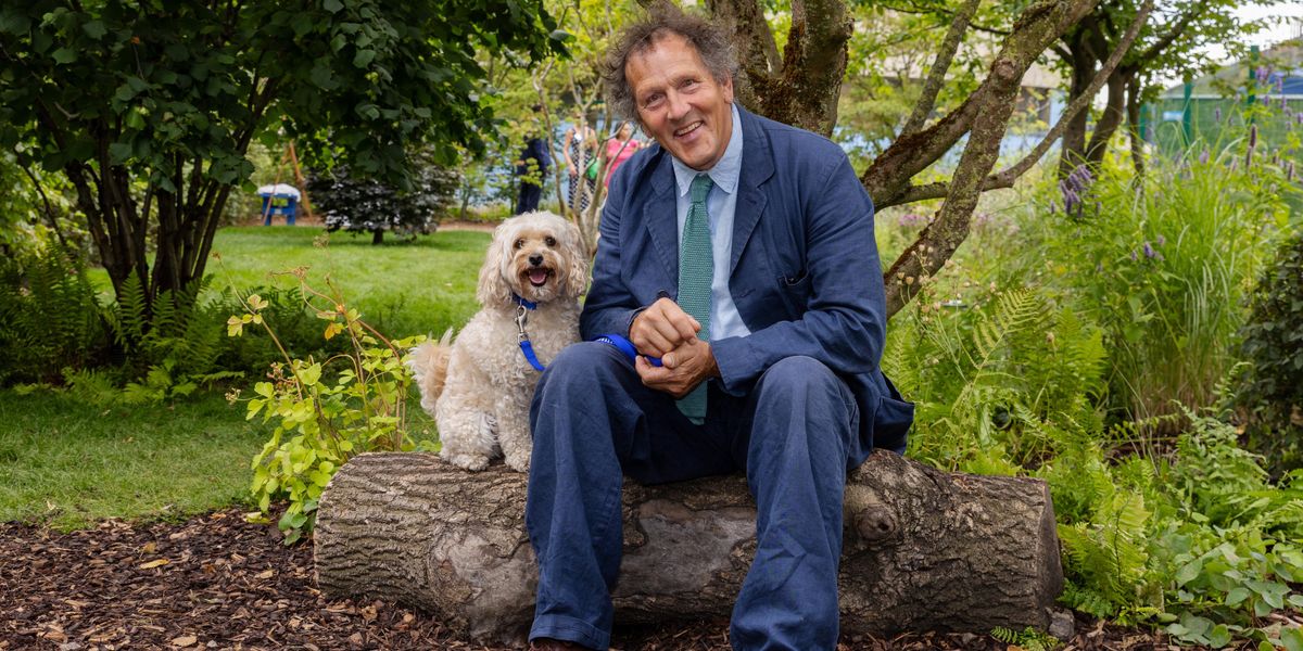 Barking up the right tree: Monty Don’s garden brings joy to dogs after ...