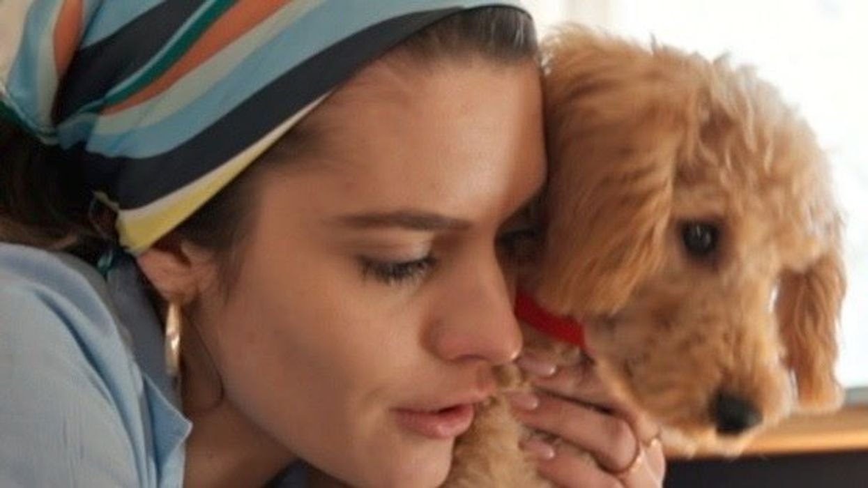 Dogs and cats are evolving to look more alike for this bizarre reason