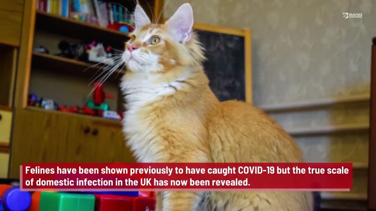 Bishop told flock they 'might drop dead' if they didn't buy his bogus 'Covid curing' kits