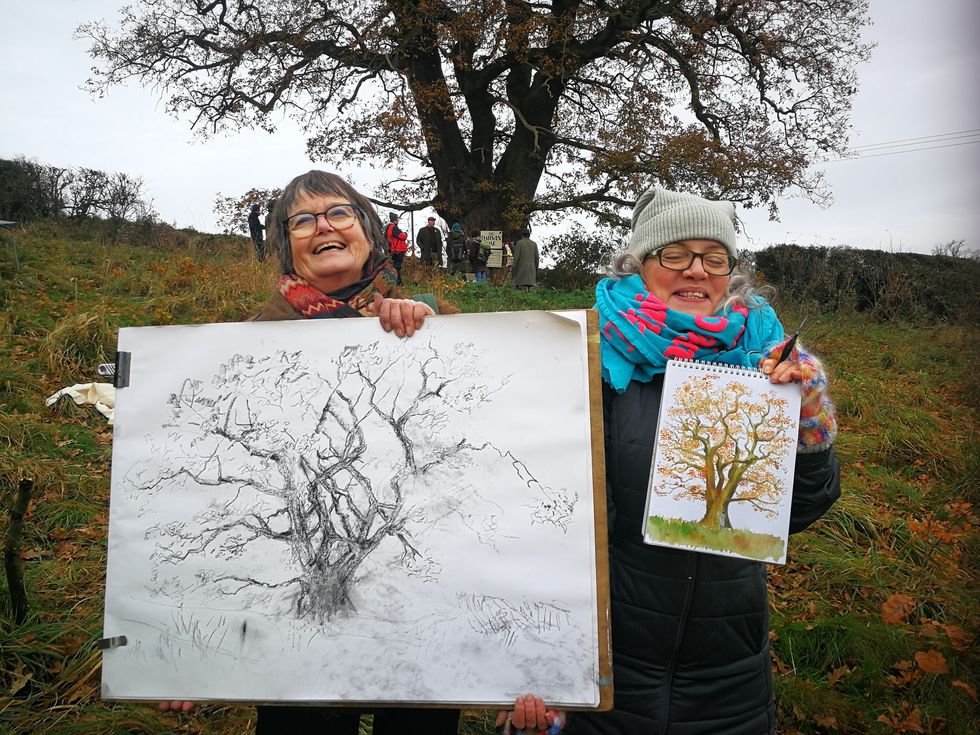 Artist evokes Sycamore Gap emotion after 50 creatives join Darwin Oak protest