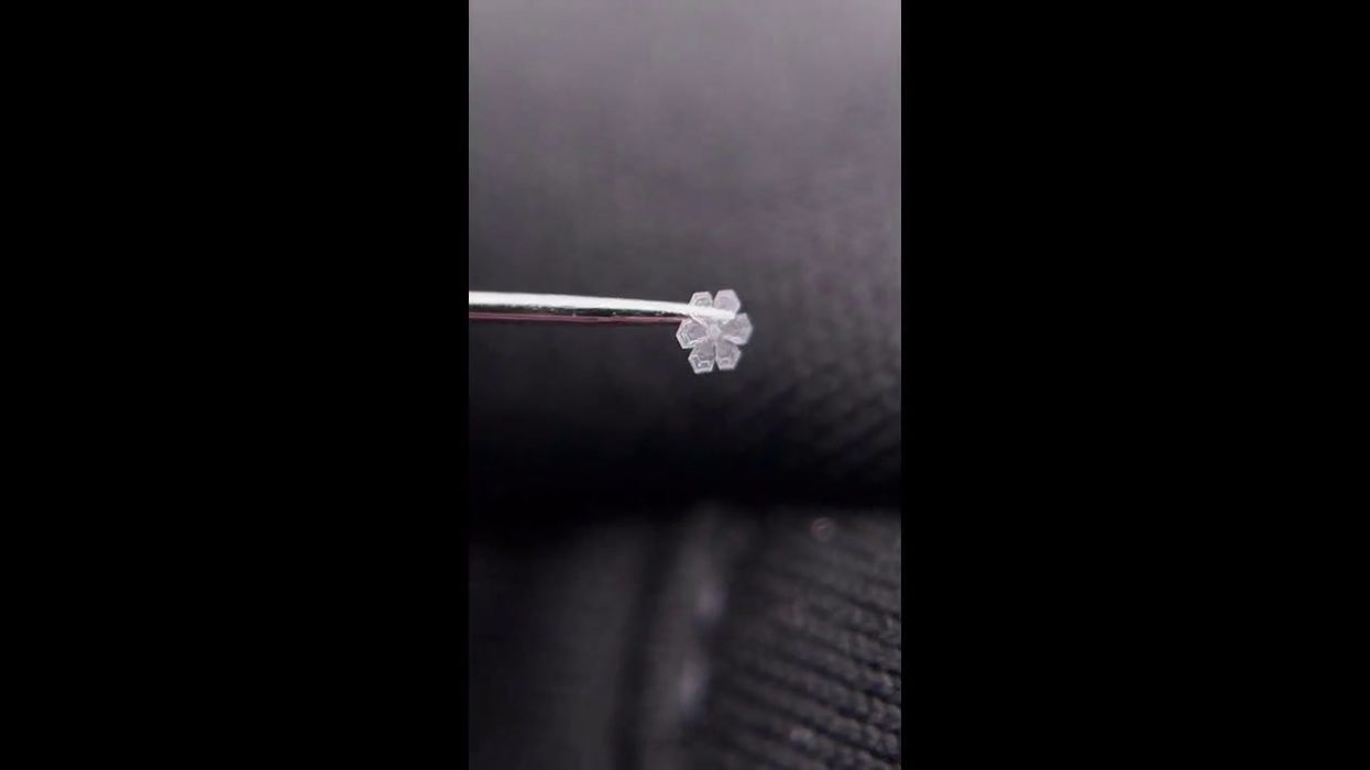 The biggest snowflakes on record were larger than pizzas