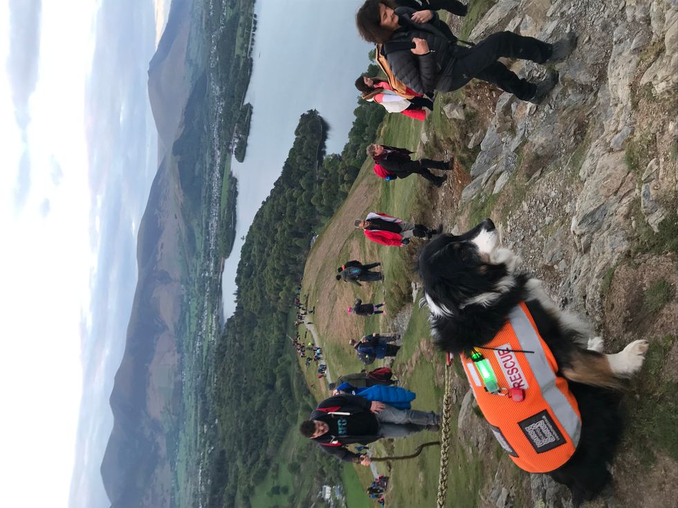 Mountain Rescue dog Skye at a fundraising event in 2019 (PDSA/PA)