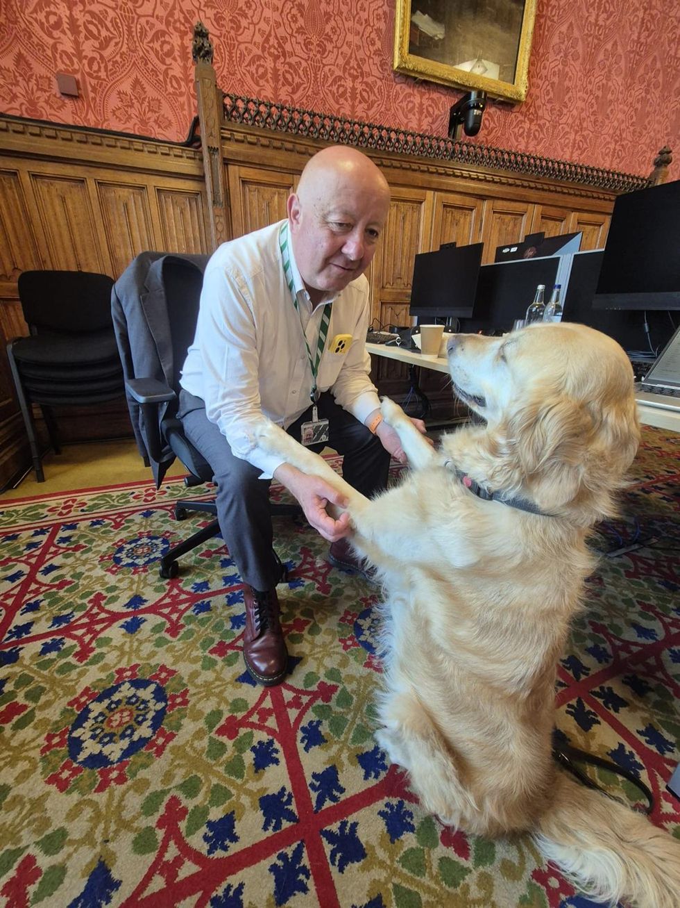 Starmer wishes Jennie the guide dog a happy birthday in the Commons