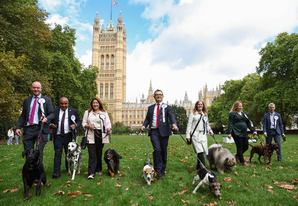 MPs joined by four-legged friends for Westminster dog show