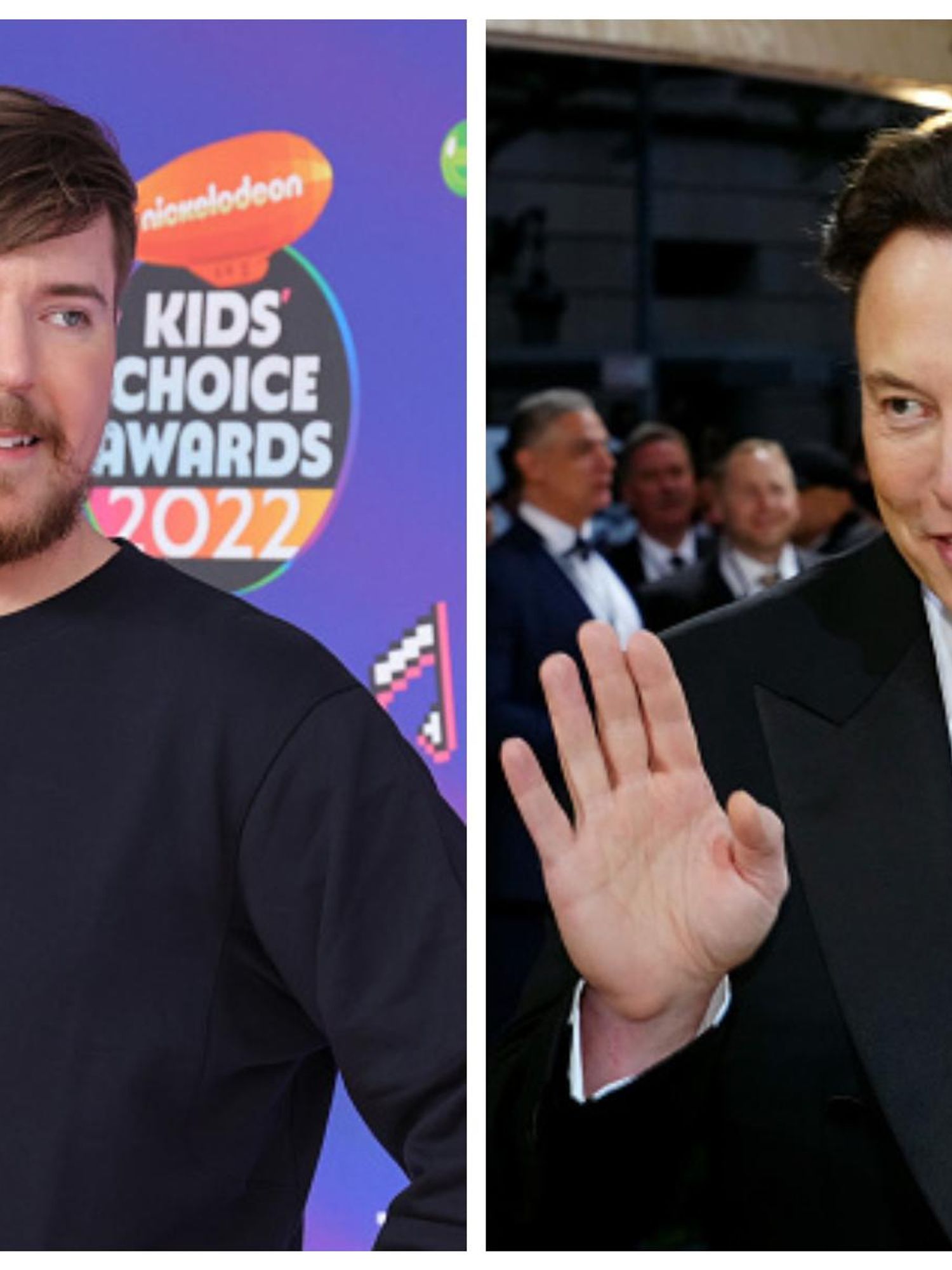 Mr Beast asked Elon Musk if he could be Twitter CEO and the answer was surprising