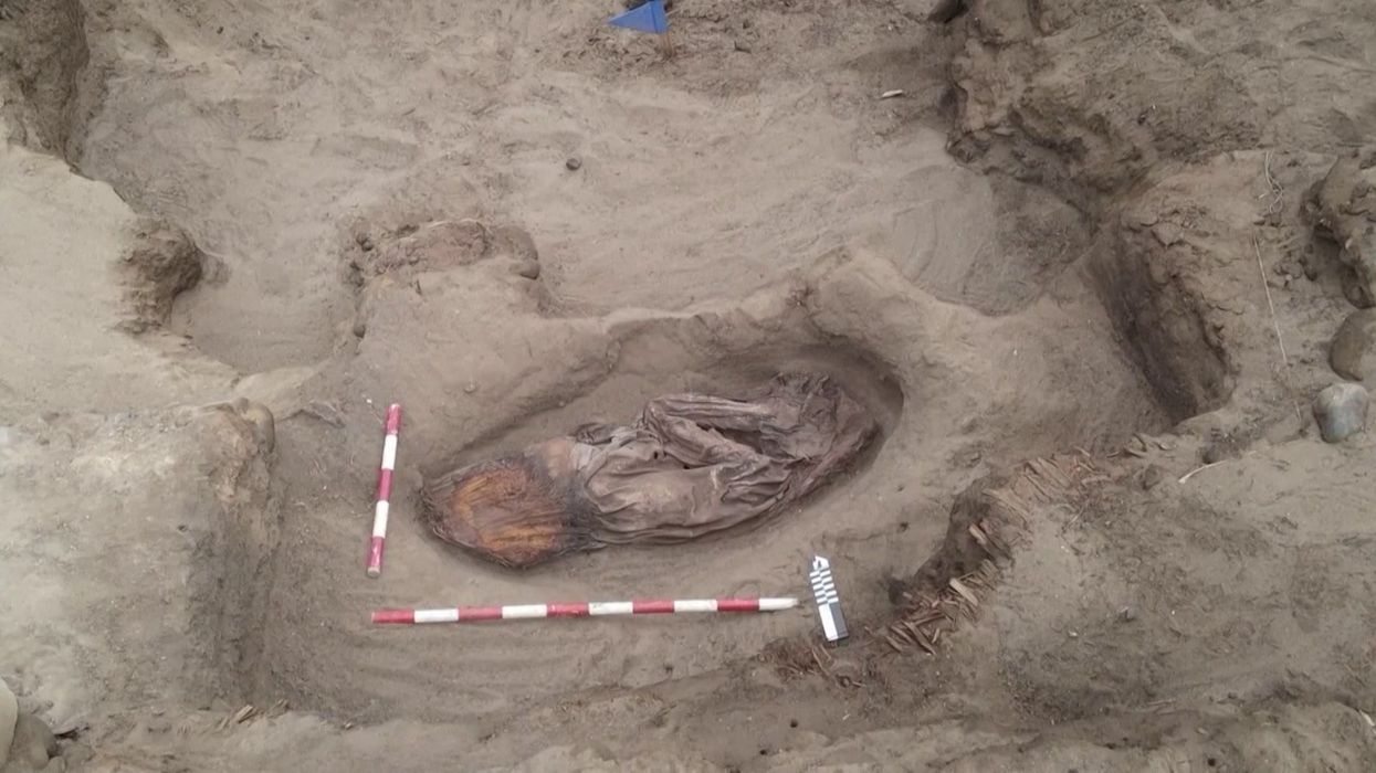 'Mysterious' mummies unearthed in Chinese desert leaving archaeologists baffled