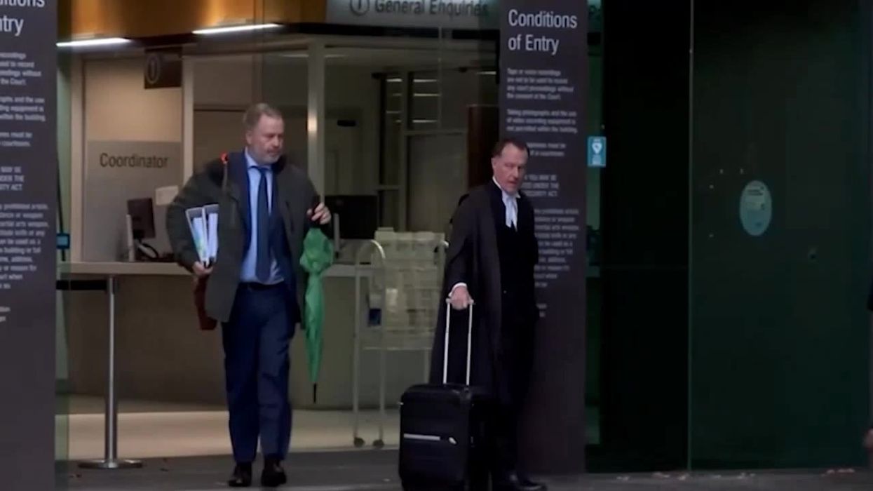 What is a death cap mushroom? How Erin Patterson carried out savage poisoning explained