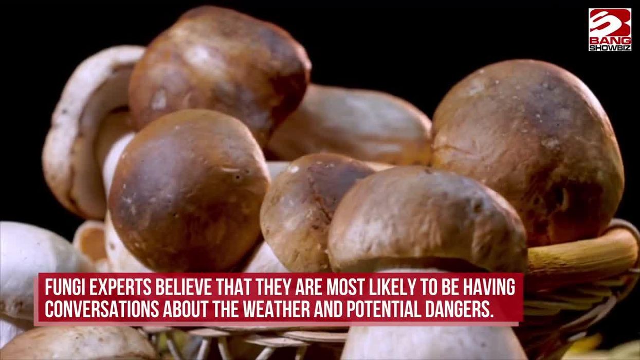 I did 'shrooms in a London restaurant - but it's not how it sounds