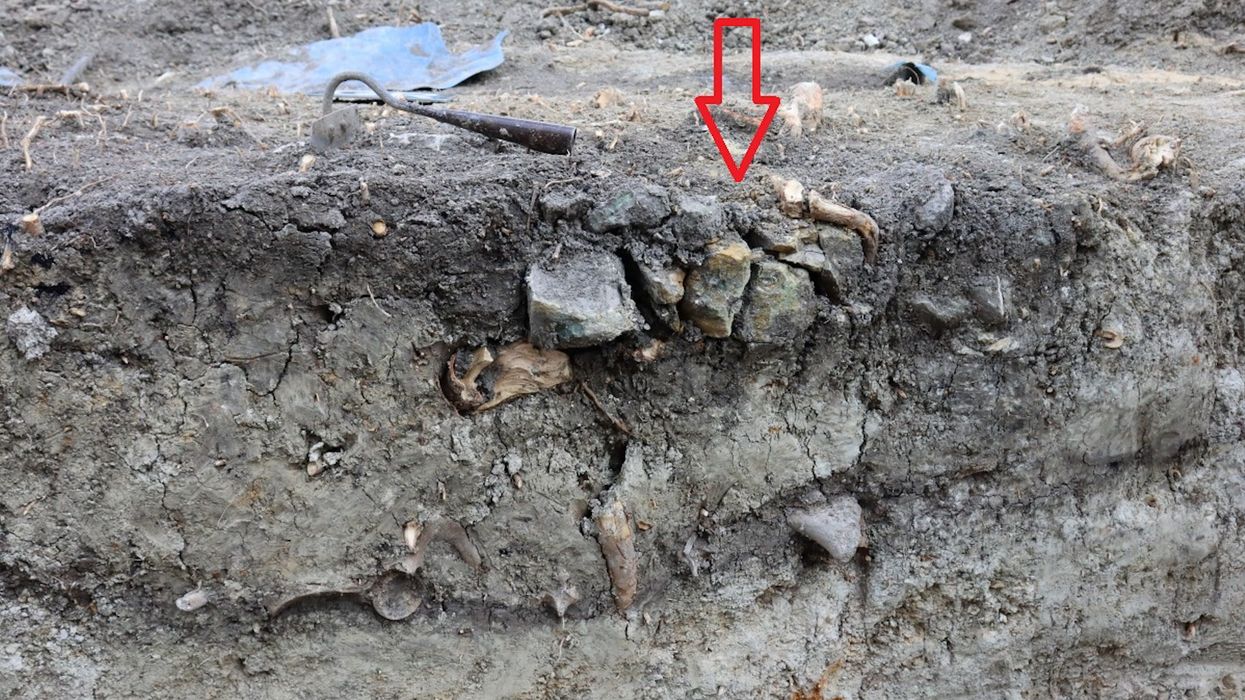 Archaeologists share disturbing final moments of 'Zosia the real life vampire'