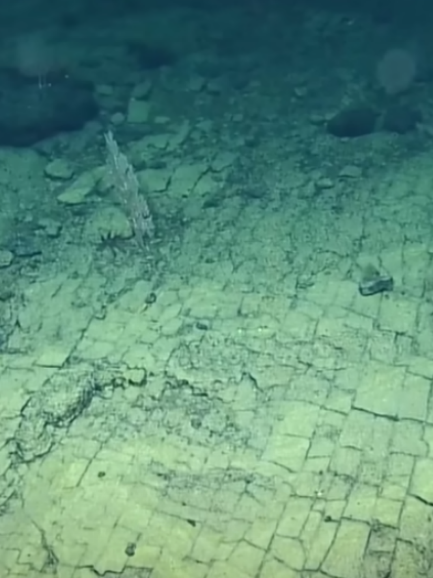 Mysterious 'yellow brick road to Atlantis' found on bottom of ocean