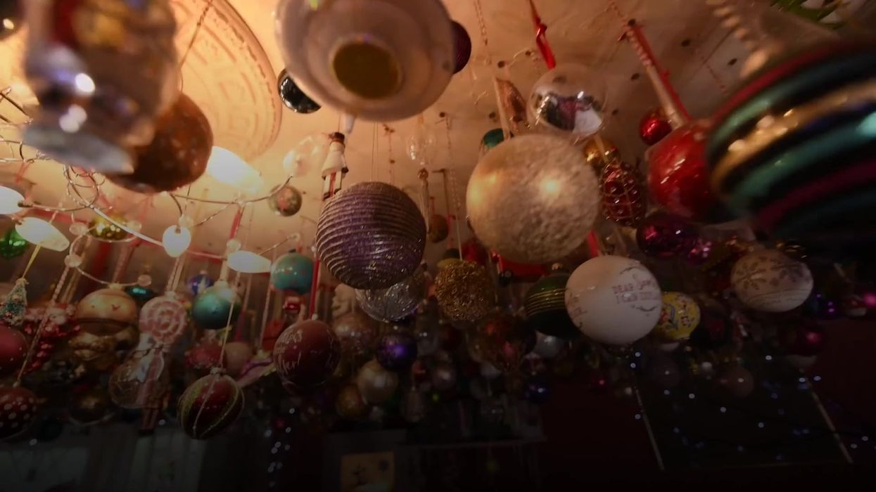 ‘New fear unlocked’: TikTok horrified as hundreds of bugs emerge from Christmas decoration