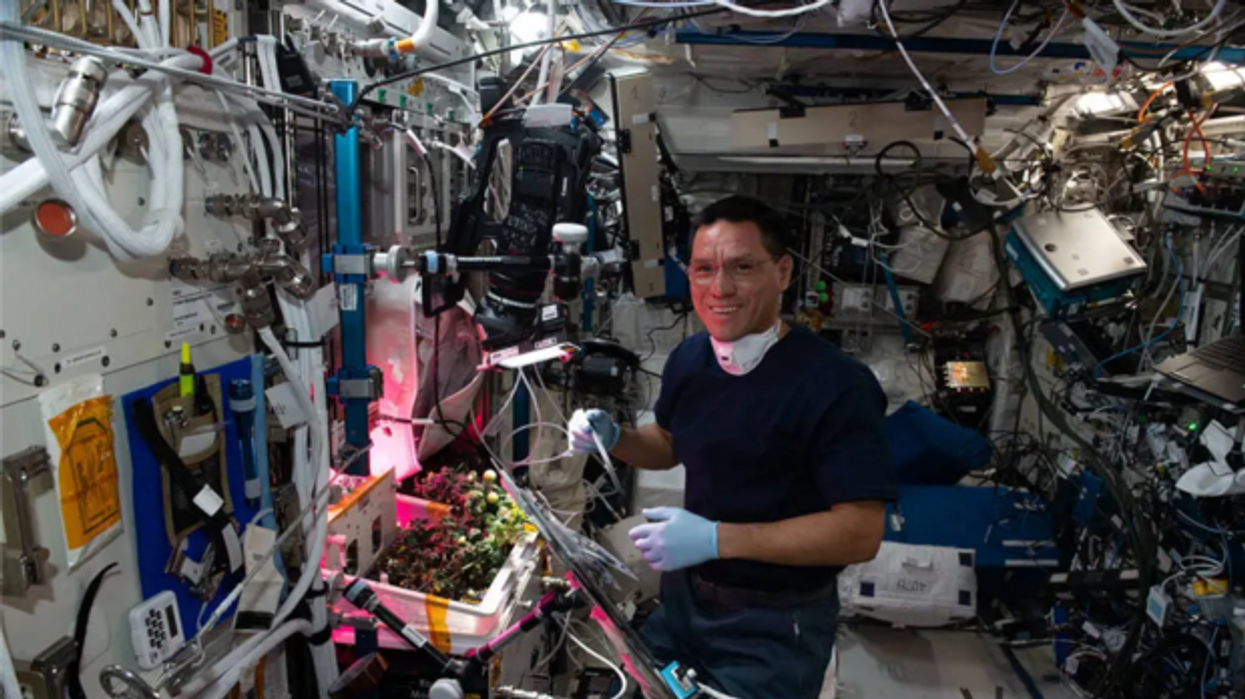 NASA astronauts finally find tomato that was ‘lost in space’ for months