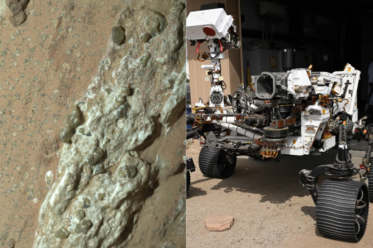 NASA discovers 'clearest sign of life on Mars' ever found thanks to rock