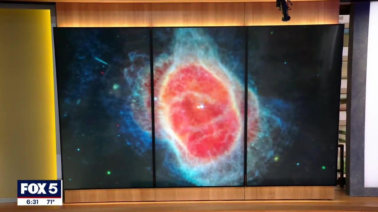 NASA scientists says astronauts should not masturbate in space