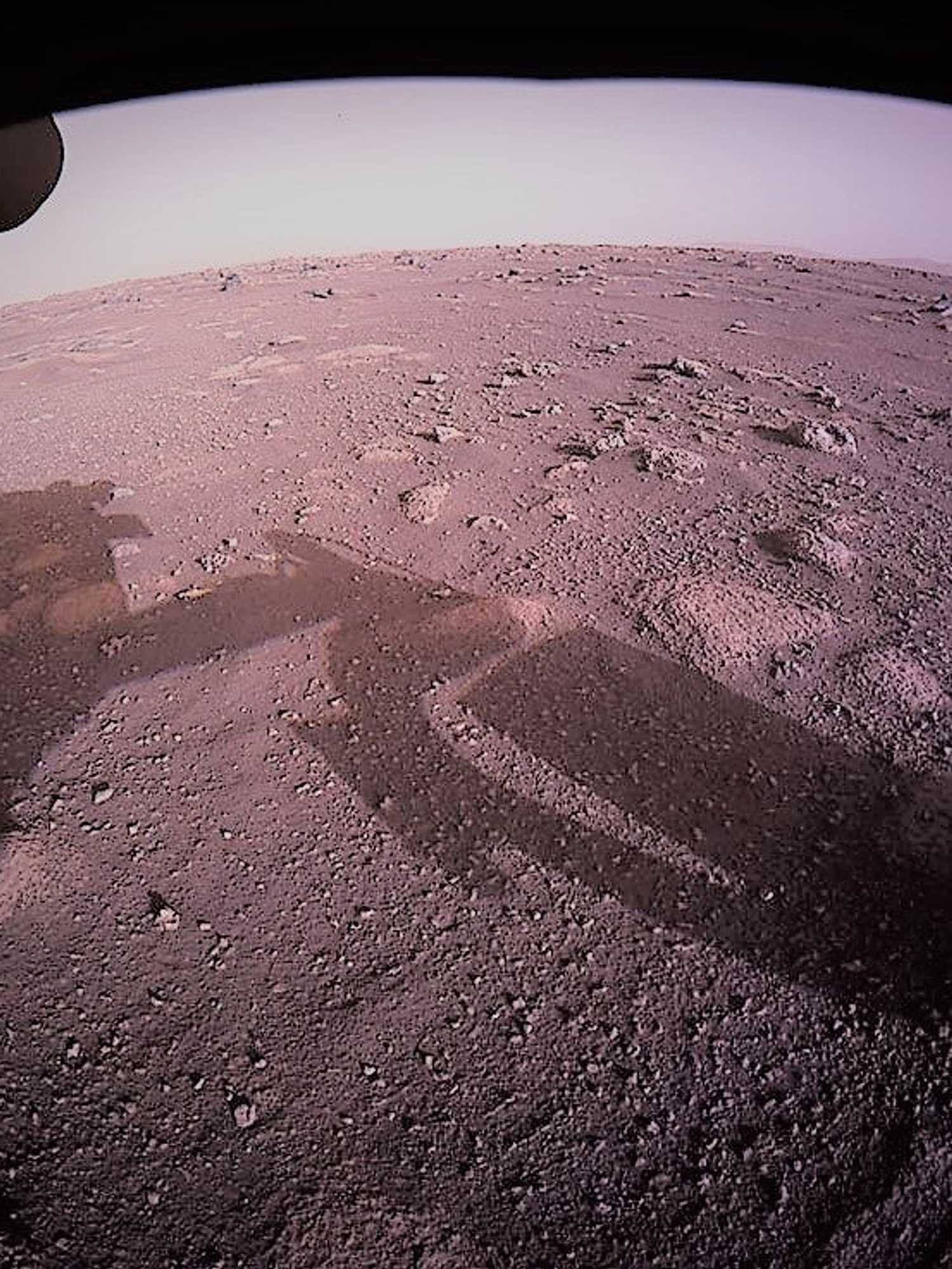 Elon Musk has predicted the exact year humans will make it to Mars - and it's very soon