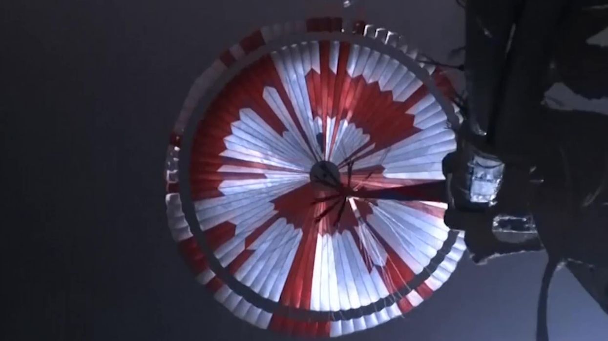 Earth might be an intelligent being, study finds