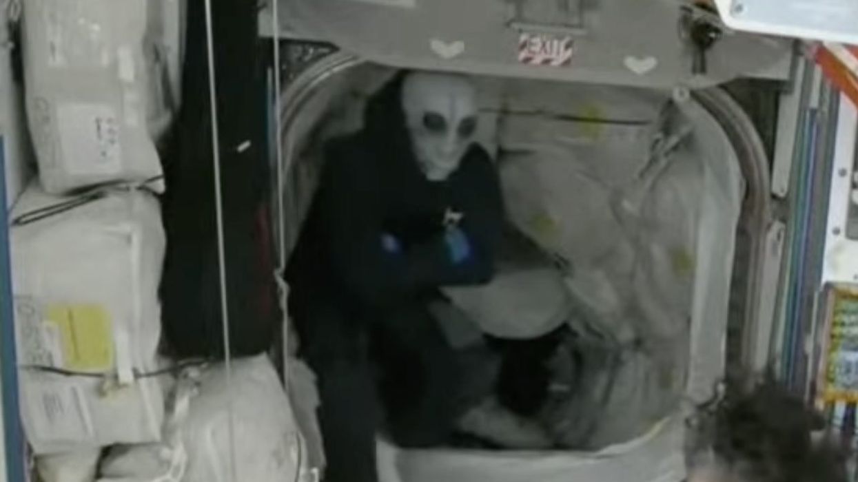 'Alien' spotted on board ISS before stranded astronauts Suni and Butch returned to Earth