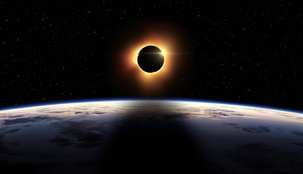 Will pets be affected by the solar eclipse indy100